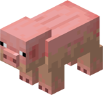 Полугрязная свинья.png